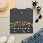 South Africa Bafana Bafana